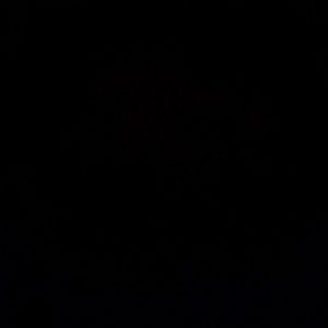 Meet your Posher, Daniela